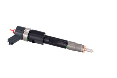 INJECTOR REMANTE 002003001168R 44