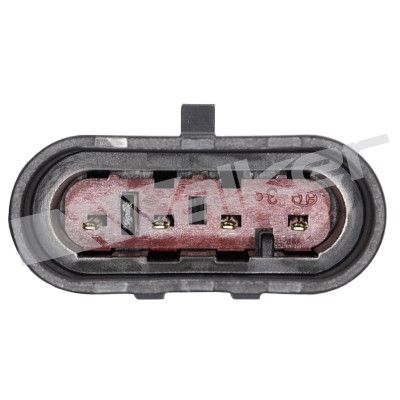 LAMBDASONDE WALKER PRODUCTS 25024119 2