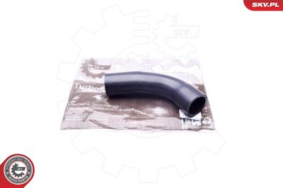 FURTUN EAR SUPRAALIMENTARE