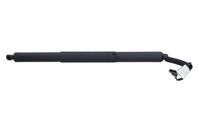 Galinių durų elektros variklis