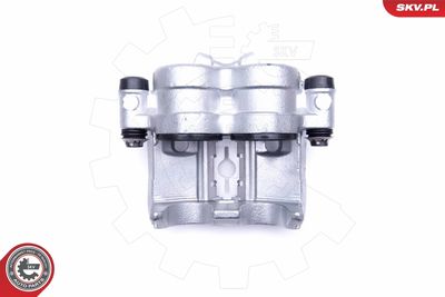 Brake Caliper 46SKV181