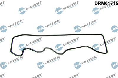 Těsnění, kryt hlavy válce LIZARTE DRM01715
