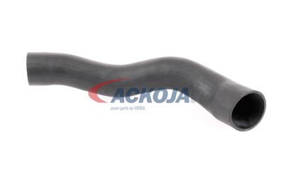 FURTUN EAR SUPRAALIMENTARE ACKOJA A379600 13