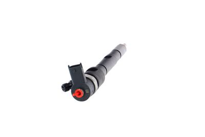 INJECTOR REMANTE 002003001196R 29