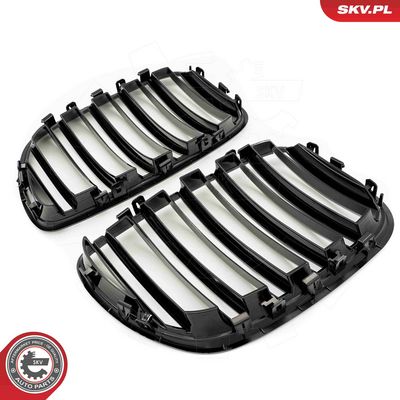 GRILA RADIATOR ESEN SKV 66SKV281 2
