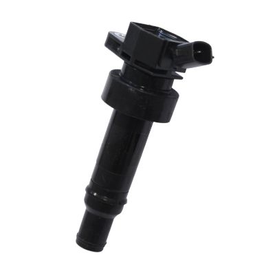 Ignition Coil 134080