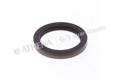 SIMERING ARBORE COTIT