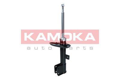 Shock Absorber 2000500