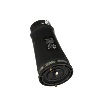 LUFTFEDER FAHRWERK Arnott A2202 69