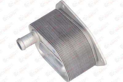 RADIATOR ULEI ULEI MOTOR BIRTH 80124 3