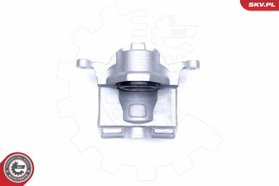 Brake Caliper 45SKV391