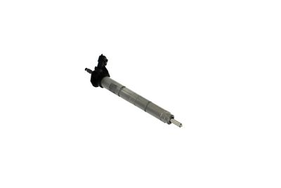 INJECTOR REMANTE 002003001368R 51