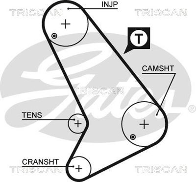 SET CUREA DE DISTRIBUTIE TRISCAN 864716019 2