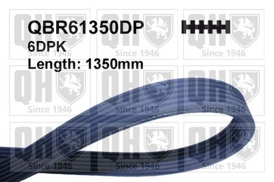 Поликлиновой ремень QUINTON HAZELL QBR61350DP для VW BORA