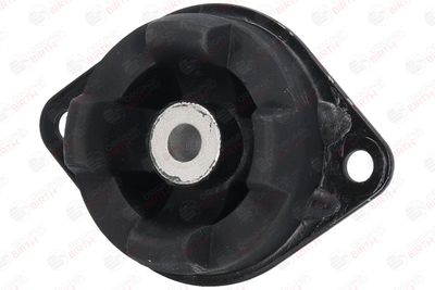 SUPORT MOTOR BIRTH 5630 2