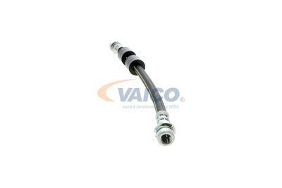FURTUN FRANA VAICO V251328 21
