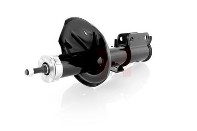 AMORTIZOR GH GH325058H 11