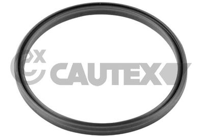 Уплотнительное кольцо, трубка нагнетаемого воздуха CAUTEX 769723 для VW PHAETON