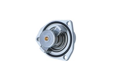 TERMOSTAT LICHID RACIRE NRF 725296 8