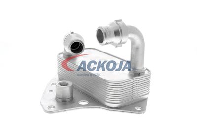 RADIATOR ULEI ULEI MOTOR VEMO V24600051 20