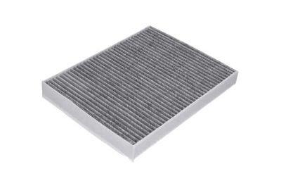 FILTRU AER HABITACLU AMC Filter FCA10262C 13