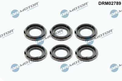 GARNITURA CAPAC SUPAPE