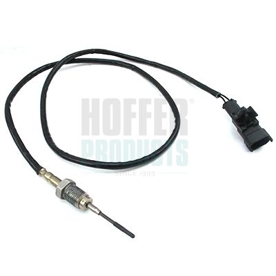 Sensor, Abgastemperatur