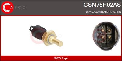 SENZOR TEMPERATURA LICHID DE RACIRE