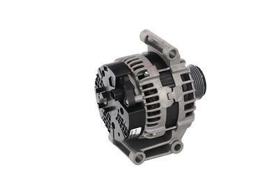 GENERATOR / ALTERNATOR REMANTE 011003000029R 41