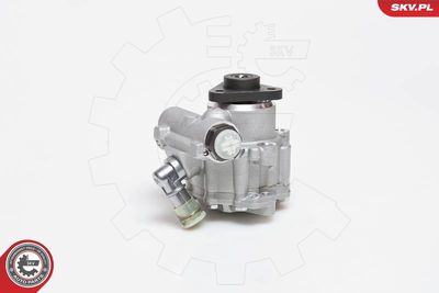 Hydraulic Pump, steering 10SKV014