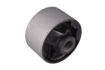 TEDGUM Lagerung, Differential