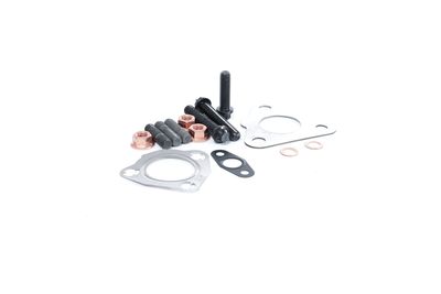 SET MONTAJ TURBOCOMPRESOR BTS Turbo T931191ABS 34