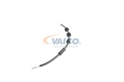 FURTUN FRANA VAICO V202640 16