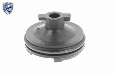 VERSCHLUSSSCHRAUBE ÖLWANNE VAICO V251116 1