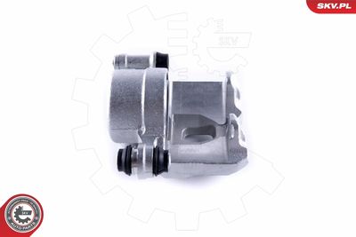 Brake Caliper 55SKV291