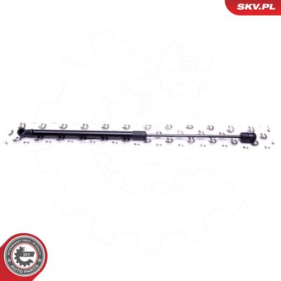 Dujinė spyruoklė, gaubtas