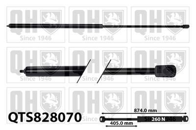 газов амортисьор, капак на двигателя QUINTON HAZELL QTS828070