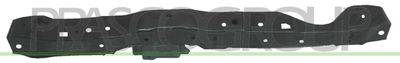 Облицовка передка PRASCO DS2203201 для NISSAN PIXO