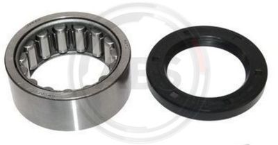 Zestaw łożysk koła A.B.S. 201087