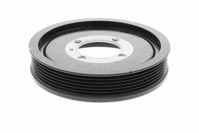 FULIE CUREA ARBORE COTIT VAICO V401178 1