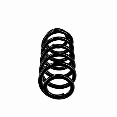 ARC SPIRAL EIBACH R10615 13