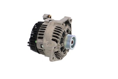 GENERATOR / ALTERNATOR REMANTE 011003000292R 48