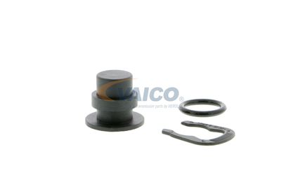 CAPAC FLANSA SISTEM DE RACIRE VAICO V100492 47