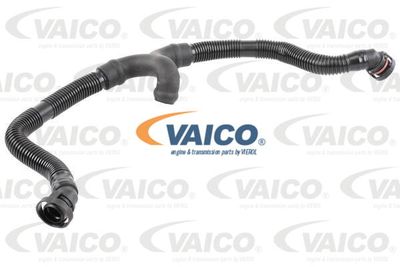 Шланг, вентиляция картера VAICO V10-3696 для AUDI ALLROAD