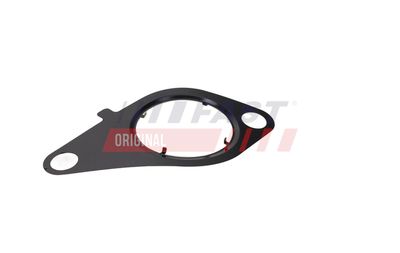 GARNITURA VENTIL AGR FAST FT13434 13