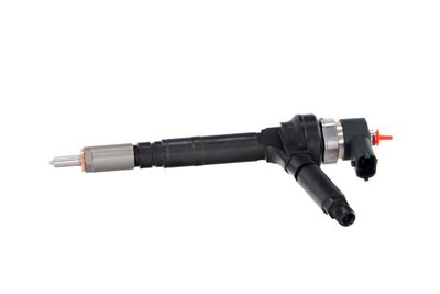 INJECTOR REMANTE 002003001191R 10