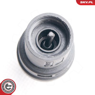 Sensor, hastighet ESEN SKV 17SKV356