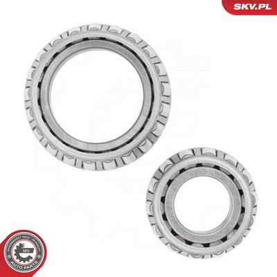 SET RULMENT ROATA ESEN SKV 85SKV002 2