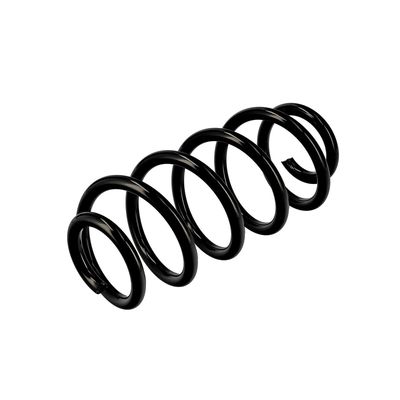 ARC SPIRAL EIBACH R10135 16