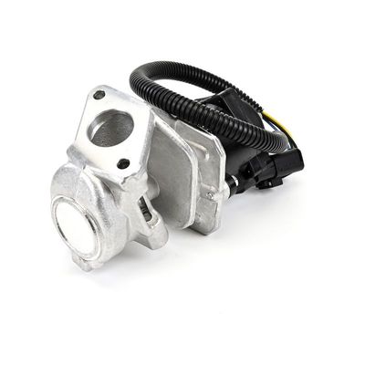 AGR-VENTIL DELPHI EG1043412B1 11